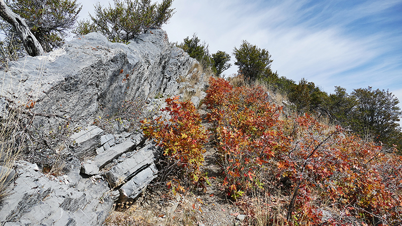 Black Mountain Salt Lake City [Wasatch National Forest]