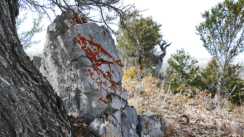 Black Mountain Salt Lake City [Wasatch National Forest]