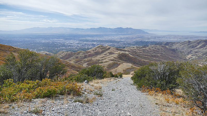 Black Mountain Salt Lake City [Wasatch National Forest]