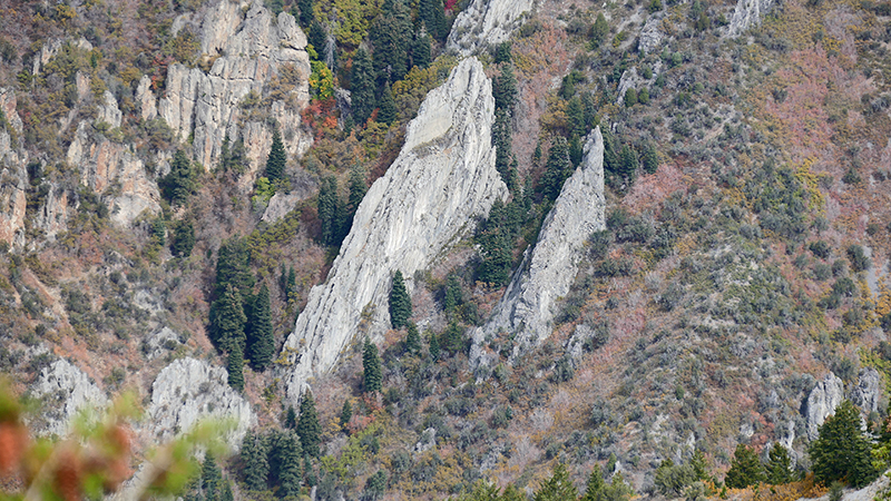 Black Mountain Salt Lake City [Wasatch National Forest]