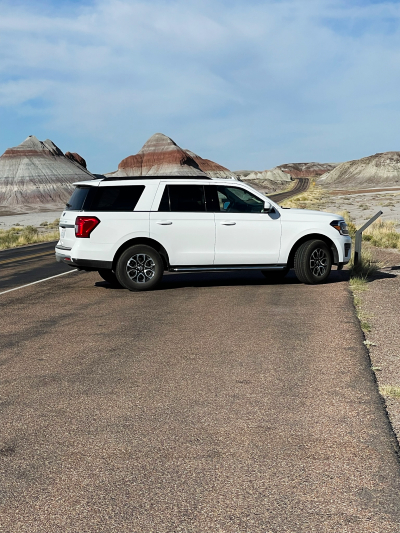 Blue Mesa Historic Trail - Petrified Forest National Park