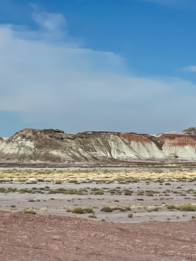 Historic Blue Forest Trail [Petrified Forest National Park]