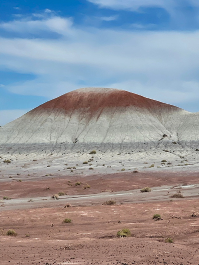 Historic Blue Forest Trail [Petrified Forest National Park]