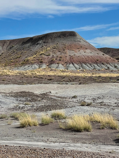 Historic Blue Forest Trail [Petrified Forest National Park]