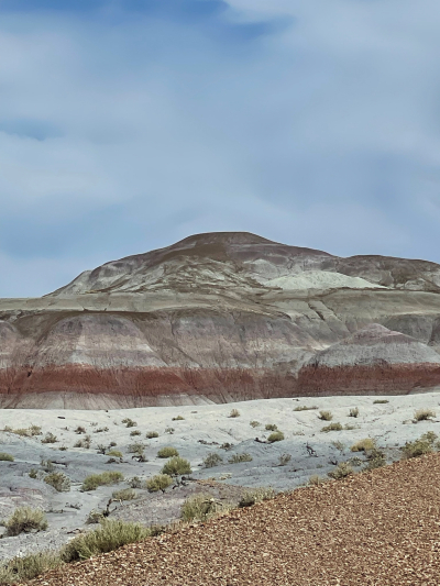 Historic Blue Forest Trail [Petrified Forest National Park]