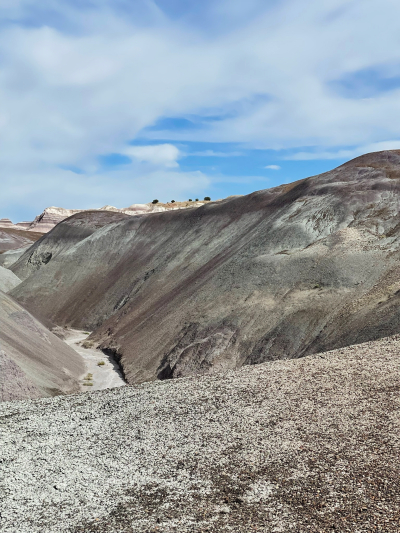 Historic Blue Forest Trail [Petrified Forest National Park]