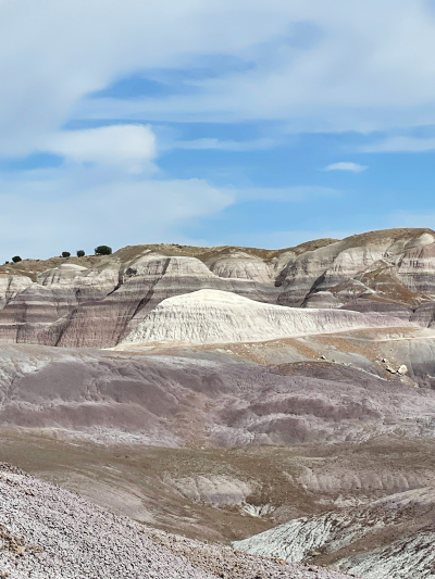 Historic Blue Forest Trail [Petrified Forest National Park]