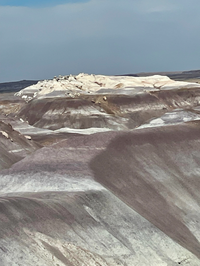 Historic Blue Forest Trail [Petrified Forest National Park]