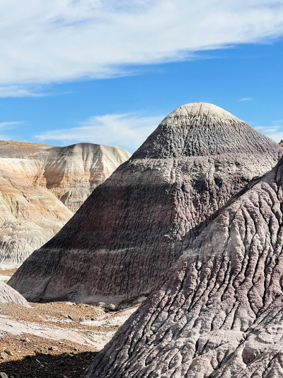 Historic Blue Forest Trail [Petrified Forest National Park]