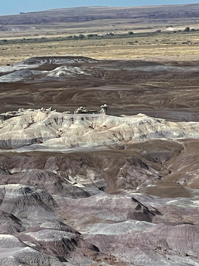 Historic Blue Forest Trail [Petrified Forest National Park]