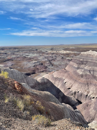 Historic Blue Forest Trail [Petrified Forest National Park]