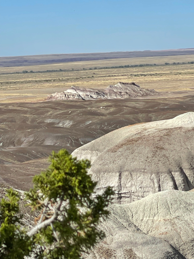 Historic Blue Forest Trail [Petrified Forest National Park]