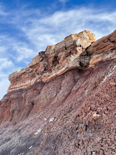 Historic Blue Forest Trail [Petrified Forest National Park]