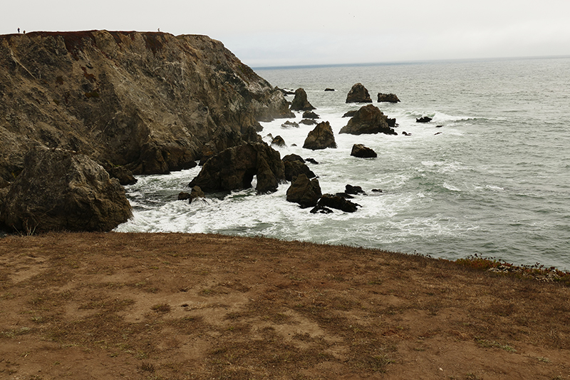 Bodega Head [Bodega Bay]