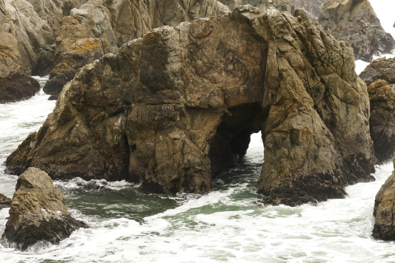 Bodega Head [Bodega Bay]