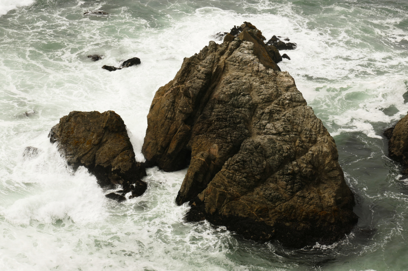 Bodega Head [Bodega Bay]