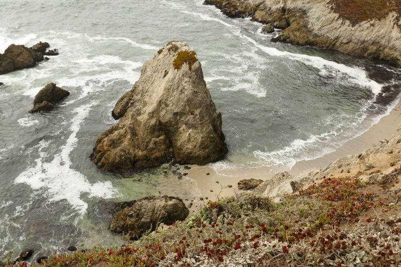 Bodega Head [Bodega Bay]