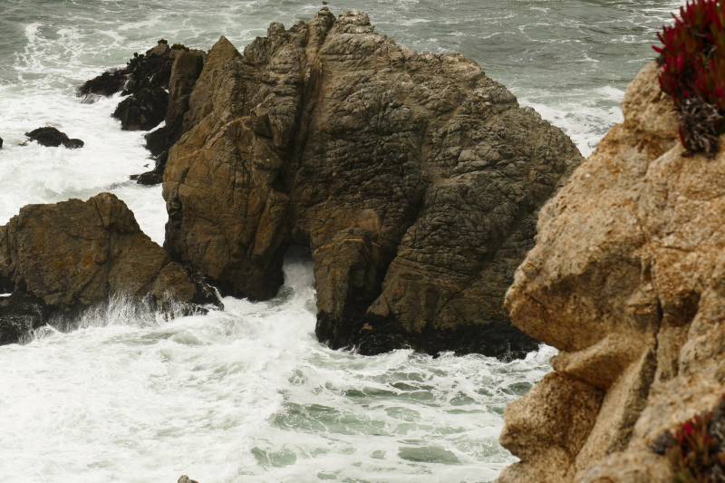 Bild Bodega Head Trail