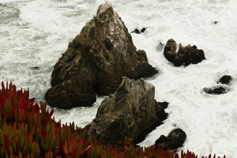 Bodega Head [Bodega Bay]