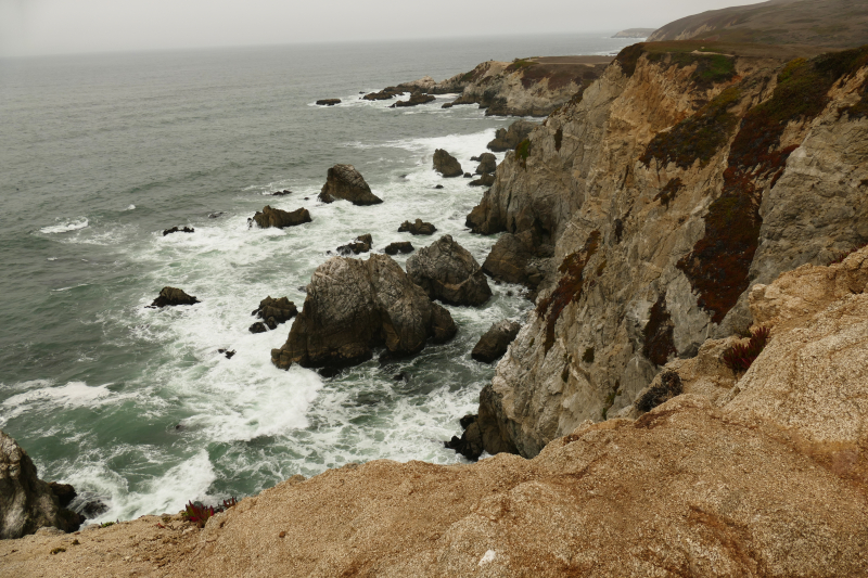 Bodega Head [Bodega Bay]