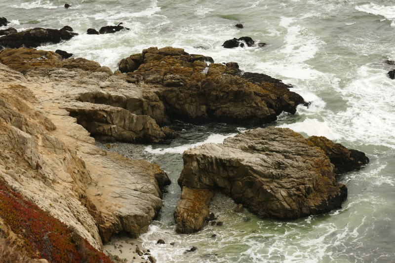 Bodega Head [Bodega Bay]