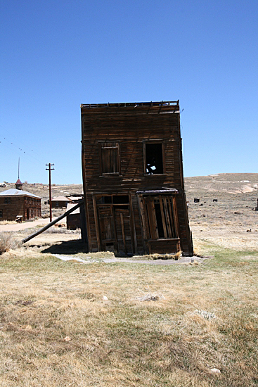 Bodie