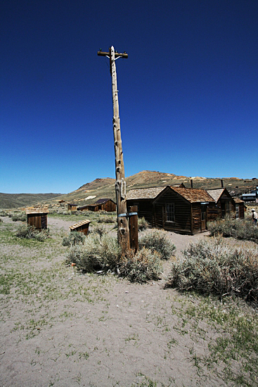 Bodie