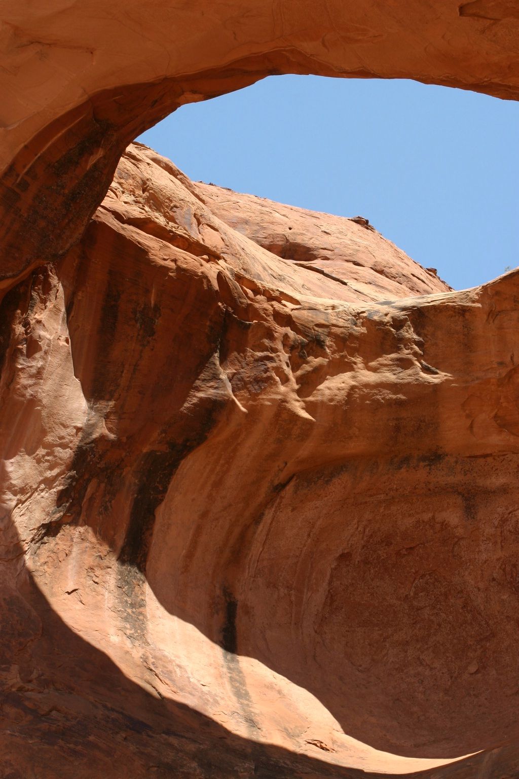 Bowtie Arch