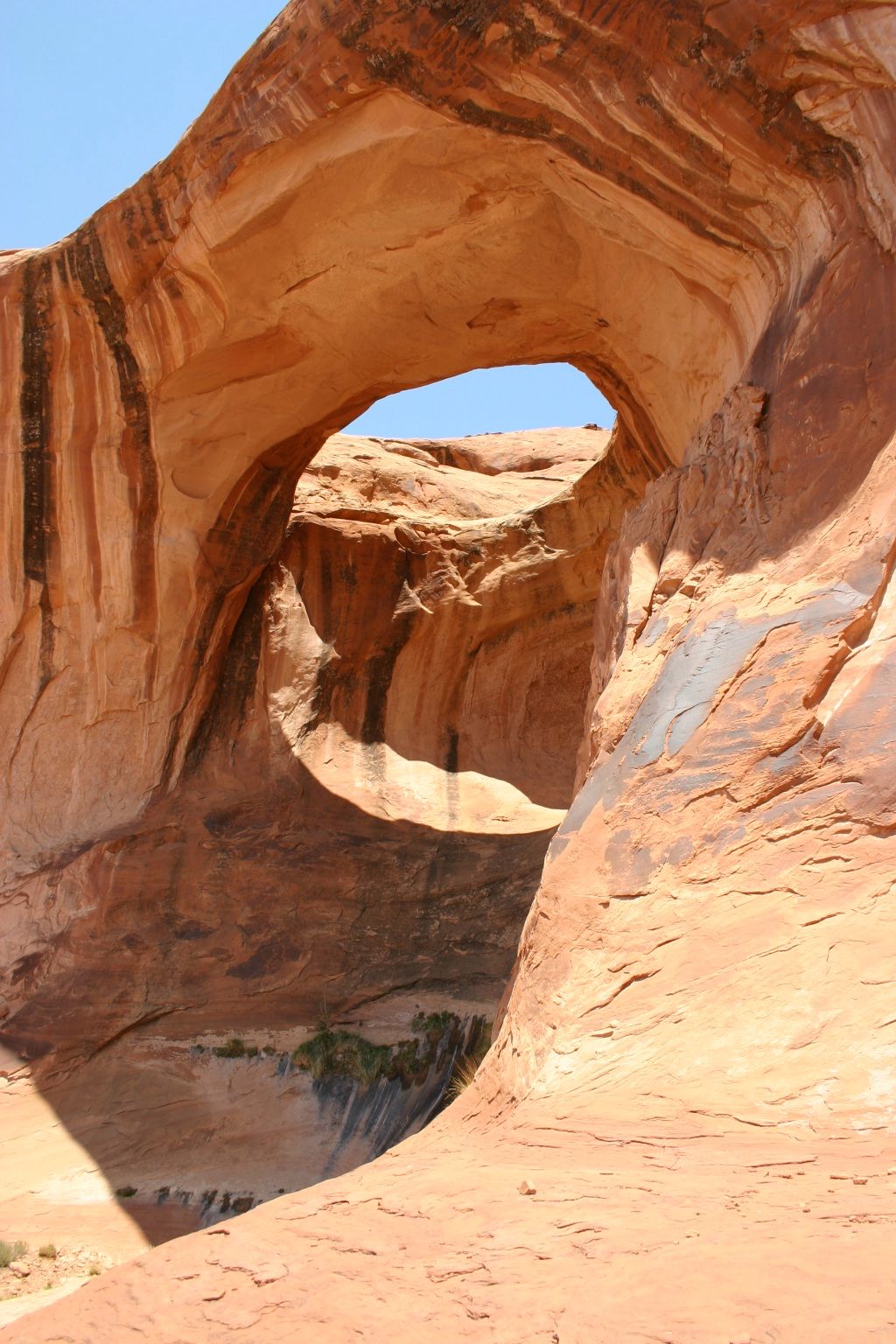 Bowtie Arch