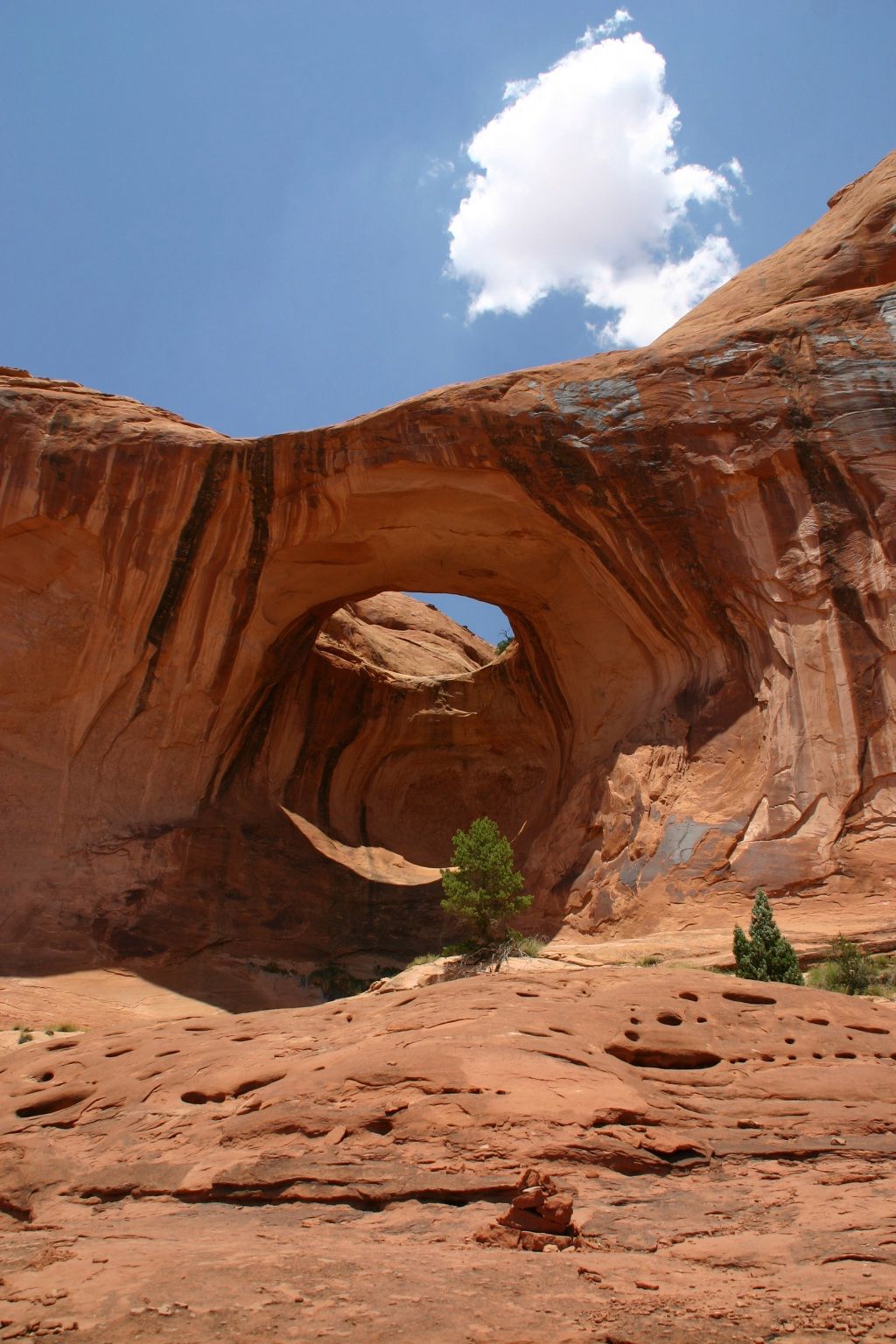 Bowtie Arch