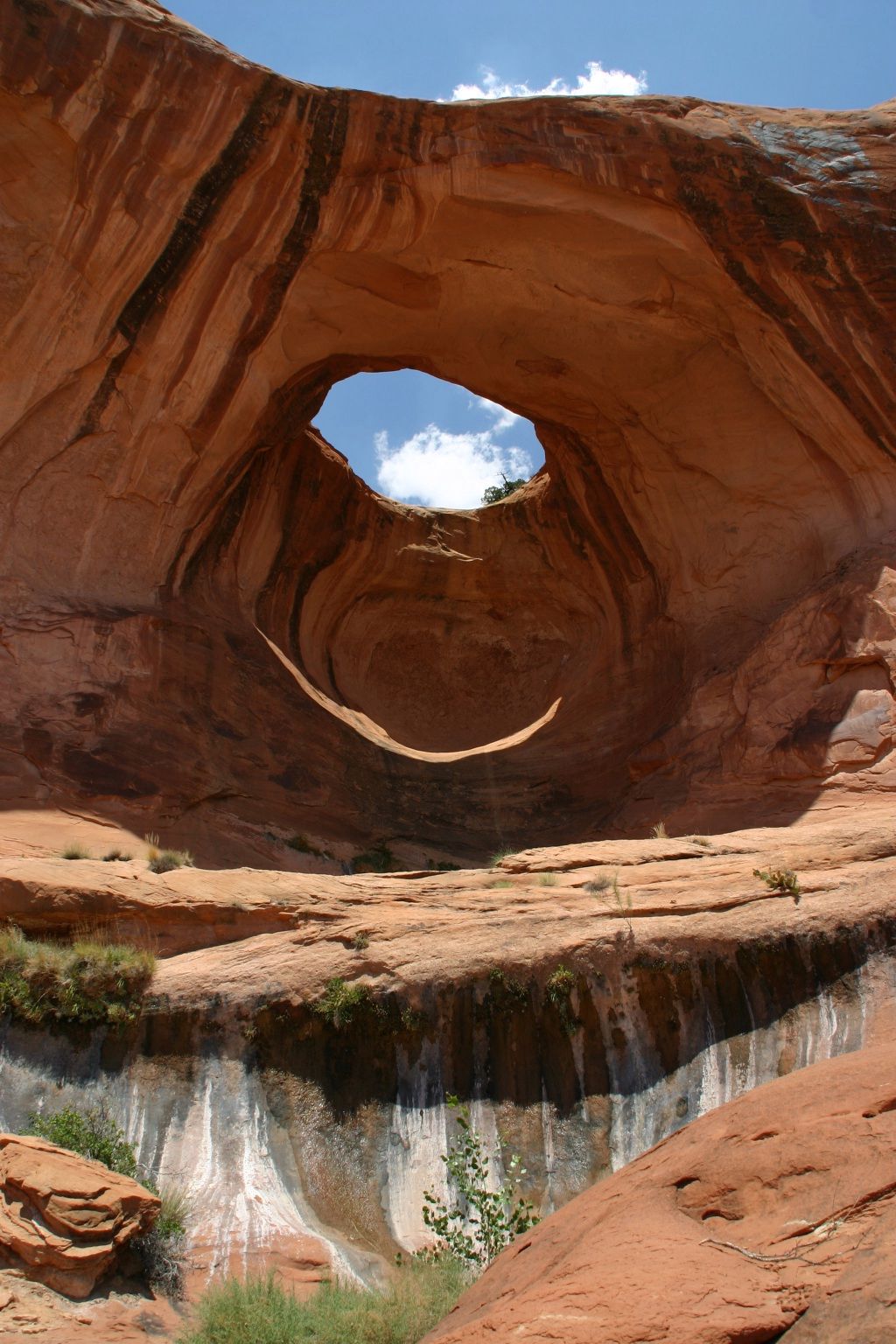 Bowtie Arch