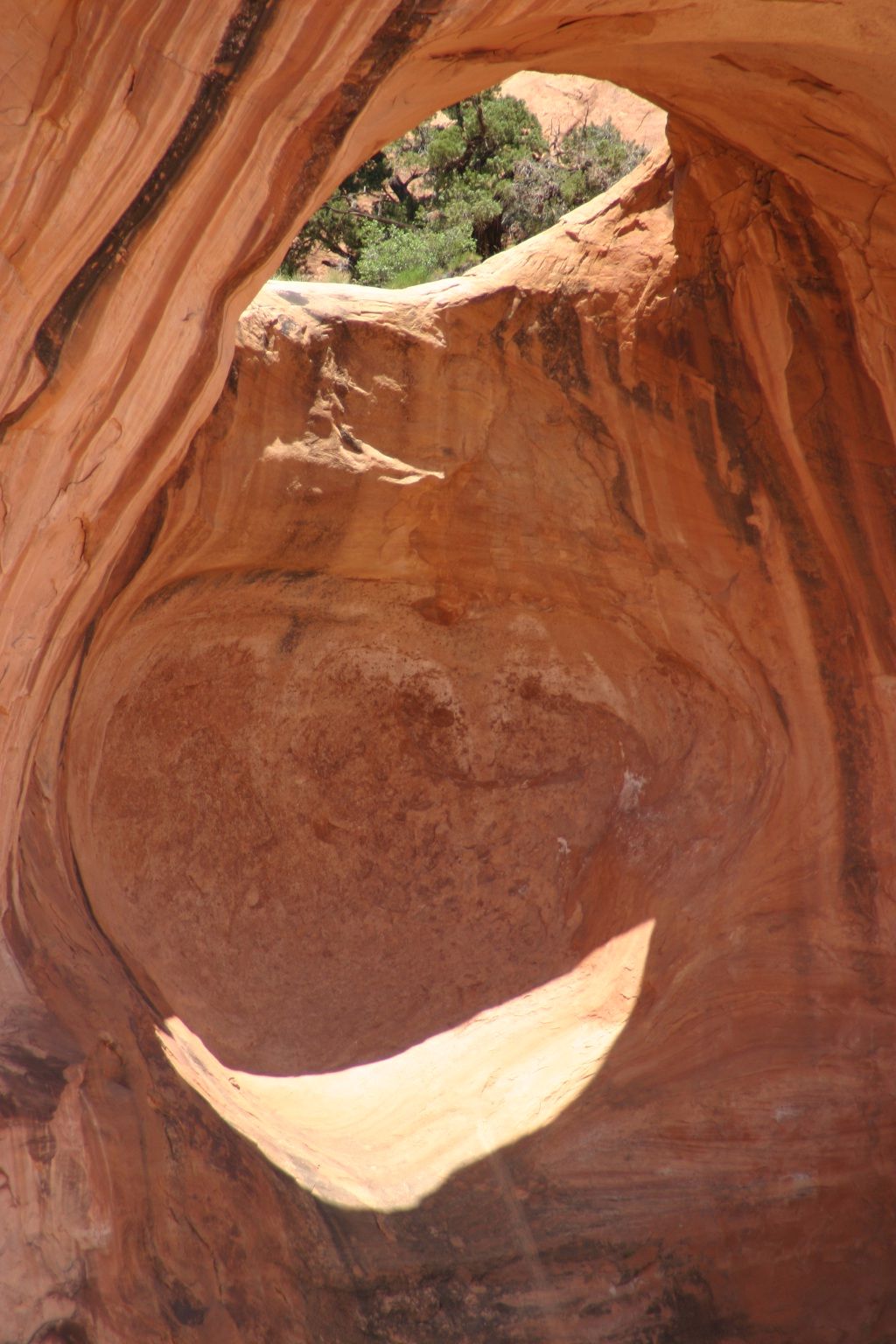 Bowtie Arch