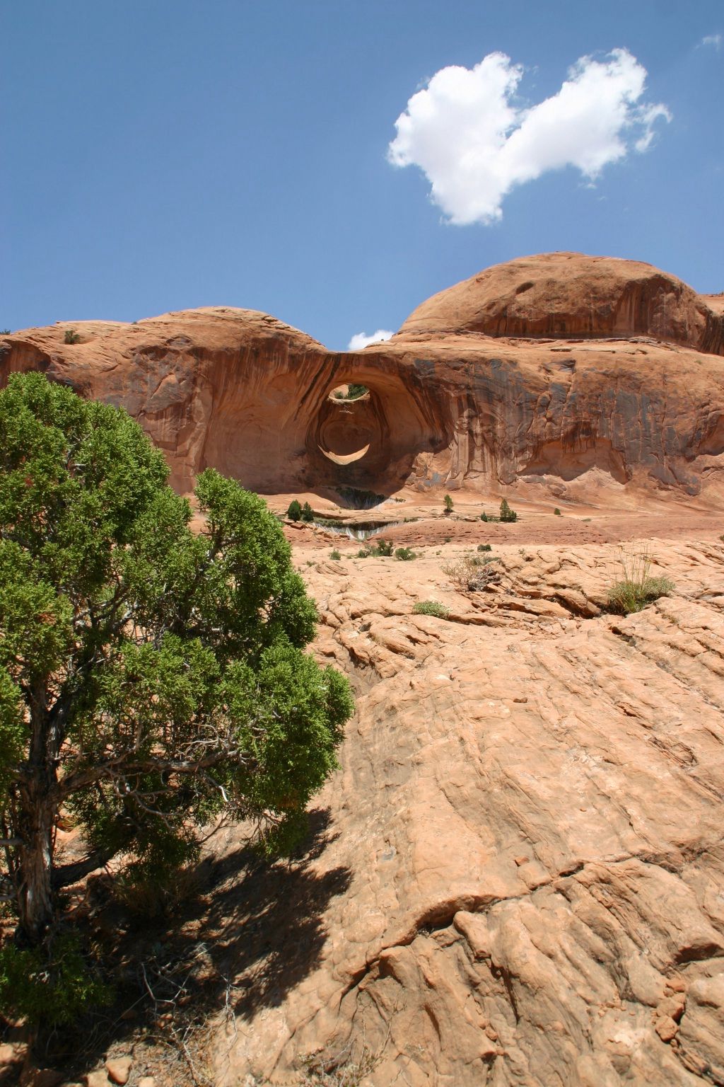 Bowtie Arch