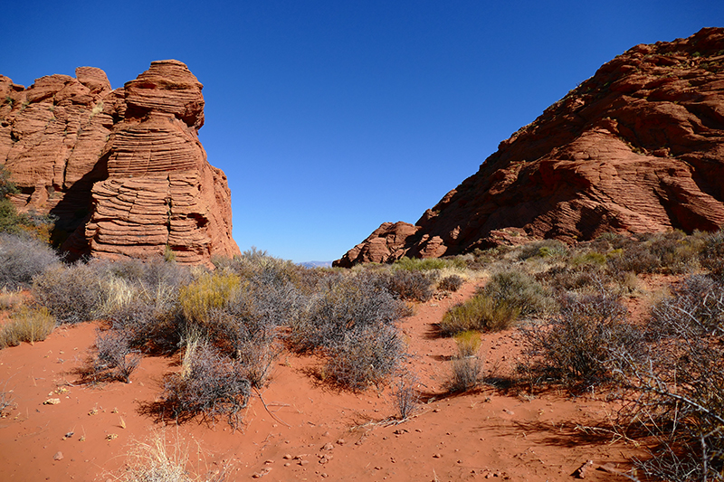 Bracken's Loop [Red Cliffs National Conservation Area]