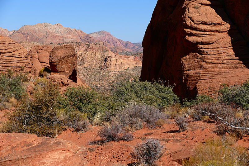 Bracken's Loop [Red Cliffs National Conservation Area]