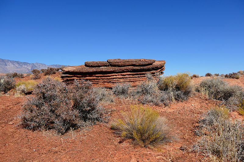 Bracken's Loop [Red Cliffs National Conservation Area]