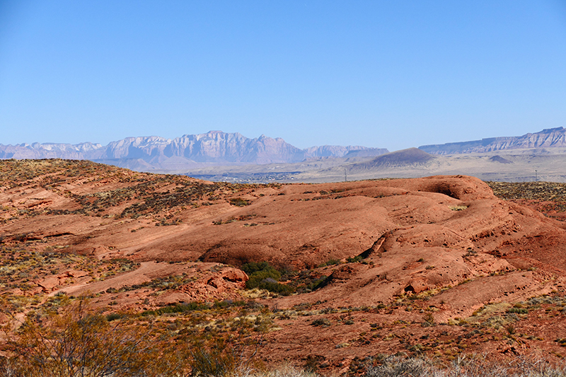 Bracken's Loop [Red Cliffs National Conservation Area]