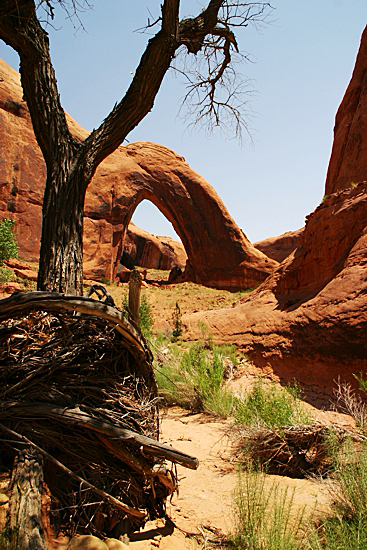 Broken Bow Arch