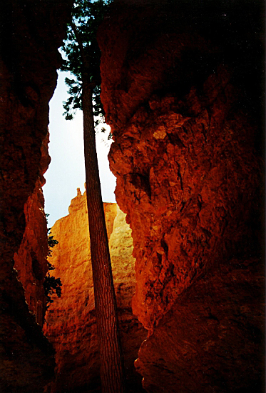 Bryce Canyon National Park