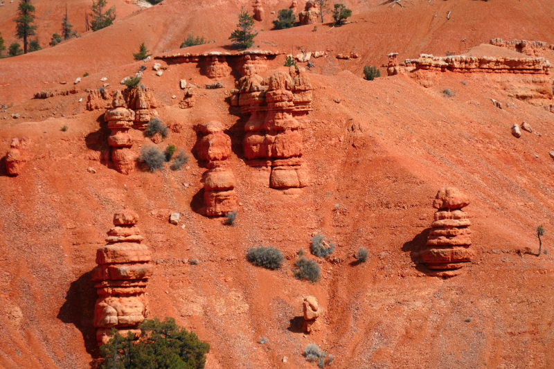 Buckhorn - Golden Wall - Castle Bridge Loop [Red Canyon]
