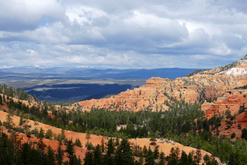 Buckhorn - Golden Wall - Castle Bridge Loop [Red Canyon]
