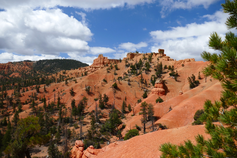 Buckhorn - Golden Wall - Castle Bridge Loop [Red Canyon]