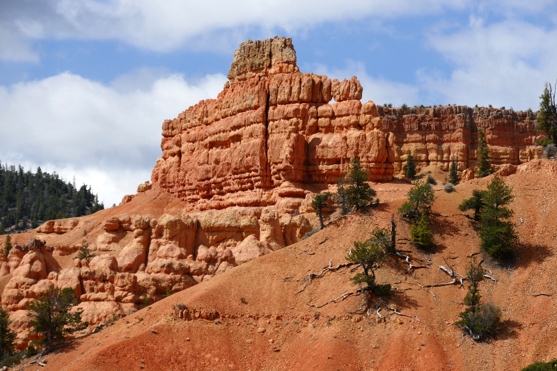 Buckhorn - Golden Wall - Castle Bridge Loop [Red Canyon]