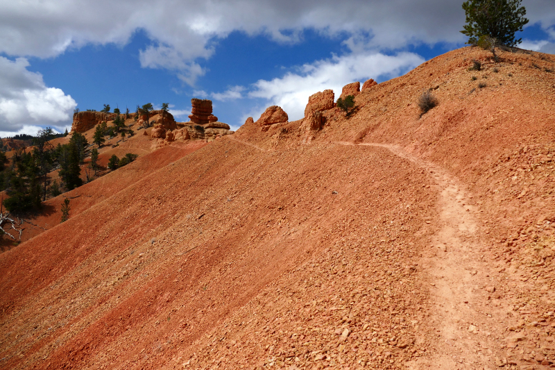Buckhorn - Golden Wall - Castle Bridge Loop [Red Canyon]