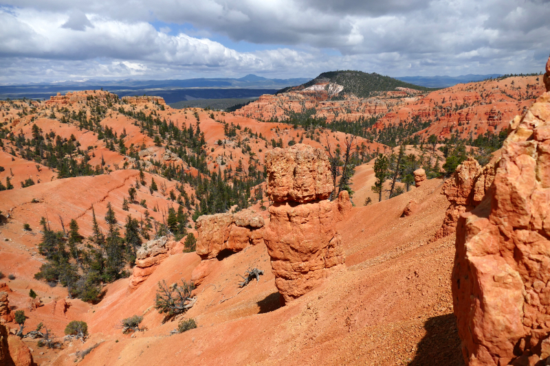 Buckhorn - Golden Wall - Castle Bridge Loop [Red Canyon]