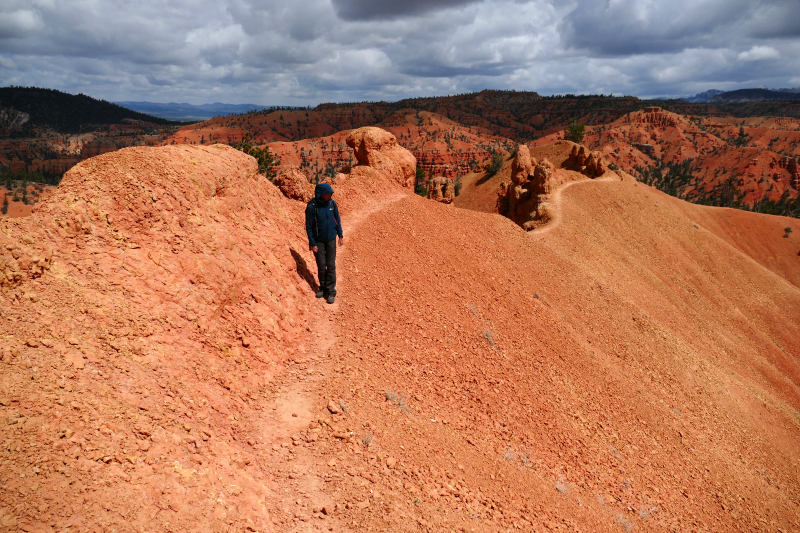 Buckhorn - Golden Wall - Castle Bridge Loop [Red Canyon]