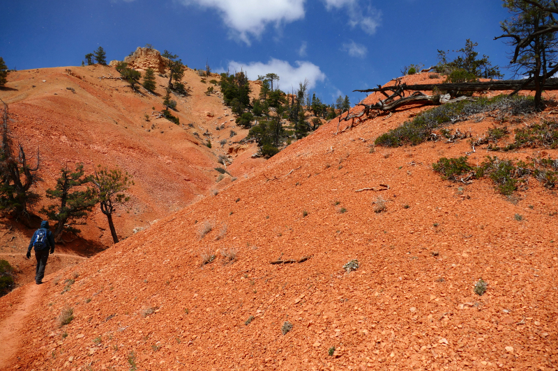 Buckhorn - Golden Wall - Castle Bridge Loop [Red Canyon]