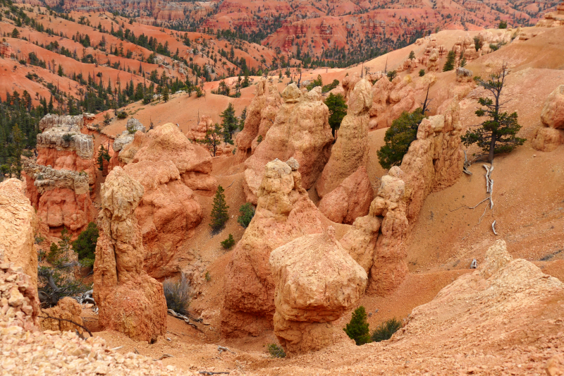 Buckhorn - Golden Wall - Castle Bridge Loop [Red Canyon]