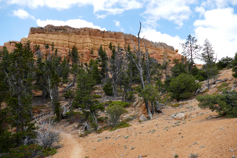 Buckhorn - Golden Wall - Castle Bridge Loop [Red Canyon]