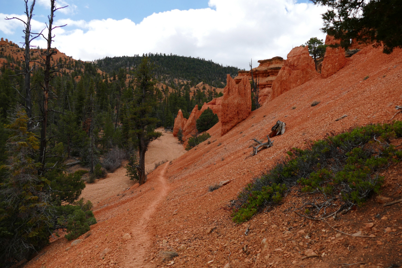 Buckhorn - Golden Wall - Castle Bridge Loop [Red Canyon]